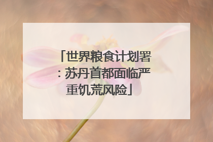 世界粮食计划署：苏丹首都面临严重饥荒风险
