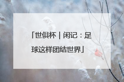 世俱杯｜闲记：足球这样团结世界