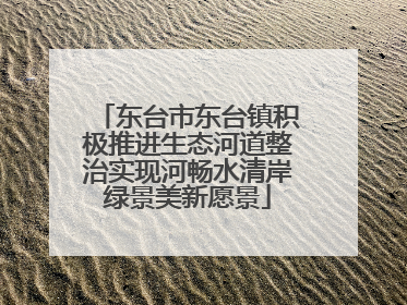 东台市东台镇积极推进生态河道整治实现河畅水清岸绿景美新愿景