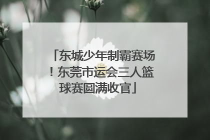东城少年制霸赛场！东莞市运会三人篮球赛圆满收官