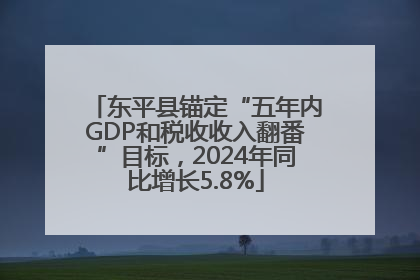 东平县锚定“五年内GDP和税收收入翻番”目标，2024年同比增长5.8%