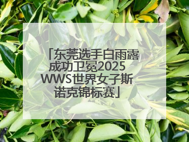 东莞选手白雨露成功卫冕2025WWS世界女子斯诺克锦标赛