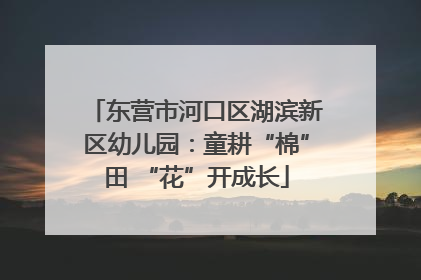 东营市河口区湖滨新区幼儿园：童耕“棉”田 “花”开成长