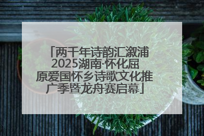 两千年诗韵汇溆浦 2025湖南·怀化屈原爱国怀乡诗歌文化推广季暨龙舟赛启幕