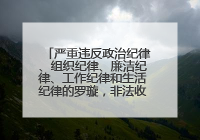 严重违反政治纪律、组织纪律、廉洁纪律、工作纪律和生活纪律的罗璇，非法收受他人巨额财物