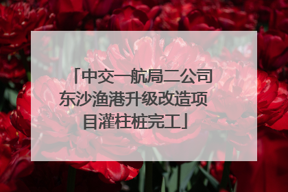 中交一航局二公司东沙渔港升级改造项目灌柱桩完工