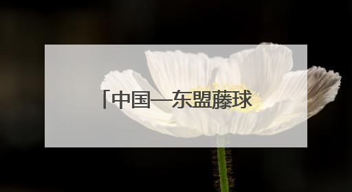 中国—东盟藤球邀请赛即将在贵州开赛 一起来了解藤球运动吧！