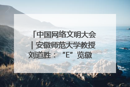 中国网络文明大会｜安徽师范大学教授刘道胜：“E”览徽风，构筑中华民族共有精神家园