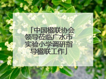 中国楹联协会领导莅临广水市实验小学调研指导楹联工作