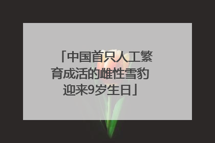 中国首只人工繁育成活的雌性雪豹迎来9岁生日