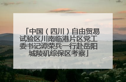 中国（四川）自由贸易试验区川南临港片区党工委书记谭荣兵一行赴岳阳城陵矶综保区考察