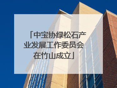 中宝协绿松石产业发展工作委员会在竹山成立