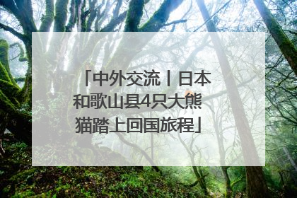 中外交流丨日本和歌山县4只大熊猫踏上回国旅程
