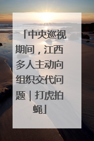 中央巡视期间，江西多人主动向组织交代问题｜打虎拍蝇