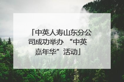 中英人寿山东分公司成功举办 “中英嘉年华”活动