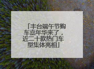 丰台端午节购车嘉年华来了，近二十款热门车型集体亮相