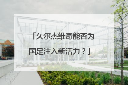 久尔杰维奇能否为国足注入新活力？