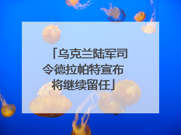 乌克兰陆军司令德拉帕特宣布将继续留任