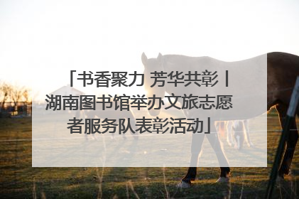 书香聚力 芳华共彰丨湖南图书馆举办文旅志愿者服务队表彰活动