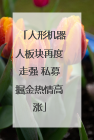 人形机器人板块再度走强 私募掘金热情高涨