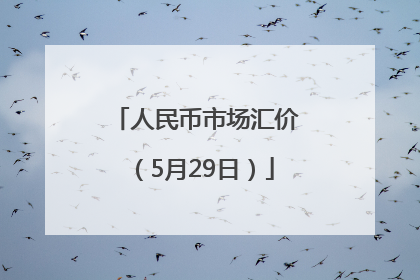 人民币市场汇价（5月29日）