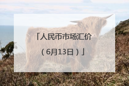 人民币市场汇价（6月13日）