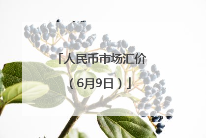 人民币市场汇价（6月9日）