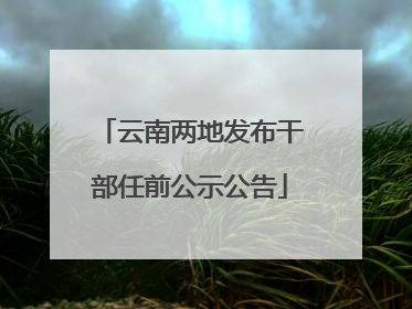 云南两地发布干部任前公示公告