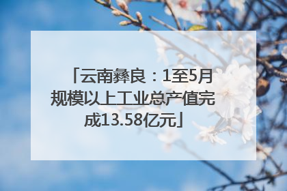 云南彝良：1至5月规模以上工业总产值完成13.58亿元