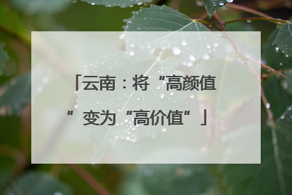 云南：将“高颜值”变为“高价值”