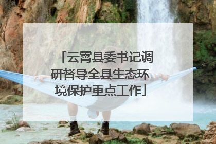 云霄县委书记调研督导全县生态环境保护重点工作
