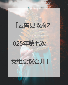 云霄县政府2025年第七次党组会议召开