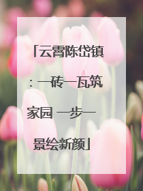 云霄陈岱镇：一砖一瓦筑家园 一步一景绘新颜