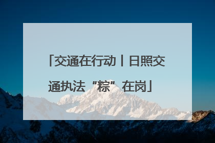 交通在行动丨日照交通执法“粽”在岗
