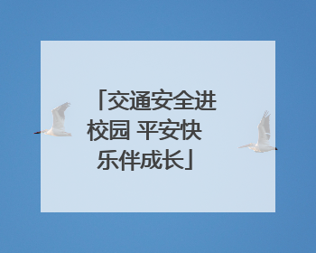 交通安全进校园 平安快乐伴成长