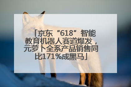 京东“618”智能教育机器人赛道爆发，元萝卜全系产品销售同比171%成黑马