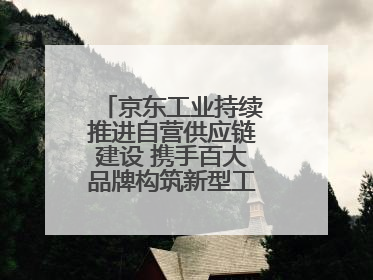 京东工业持续推进自营供应链建设 携手百大品牌构筑新型工业化基础设施