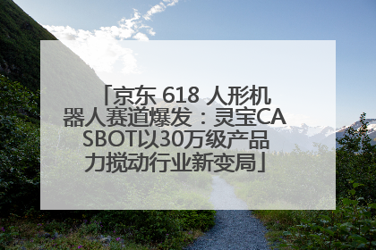 京东 618 人形机器人赛道爆发：灵宝CASBOT以30万级产品力搅动行业新变局