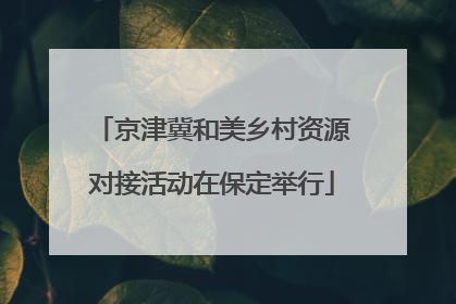 京津冀和美乡村资源对接活动在保定举行
