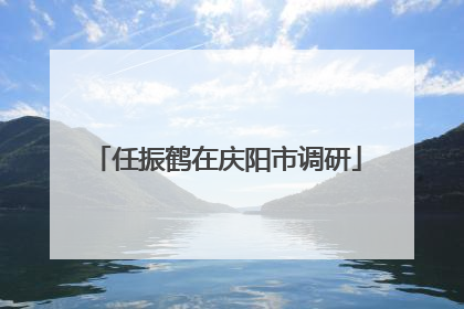 任振鹤在庆阳市调研