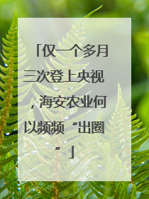 仅一个多月三次登上央视，海安农业何以频频“出圈”