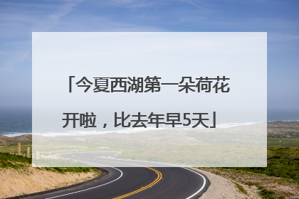 今夏西湖第一朵荷花开啦，比去年早5天