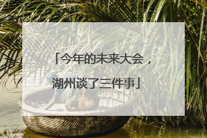今年的未来大会，湖州谈了三件事