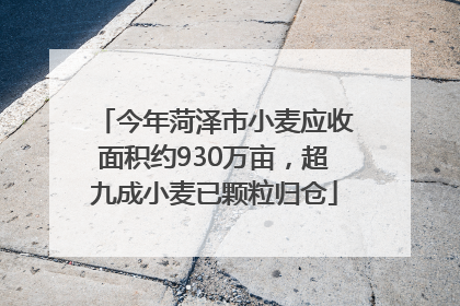 今年菏泽市小麦应收面积约930万亩，超九成小麦已颗粒归仓