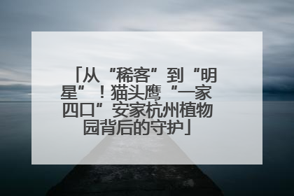 从“稀客”到“明星”！猫头鹰“一家四口”安家杭州植物园背后的守护