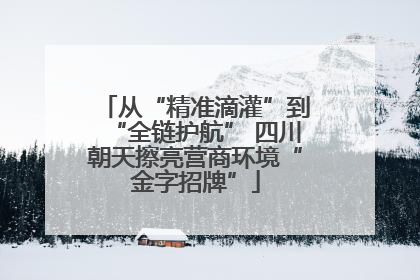 从“精准滴灌”到“全链护航” 四川朝天擦亮营商环境“金字招牌”