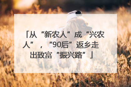 从“新农人”成“兴农人”，“90后”返乡走出致富“振兴路”