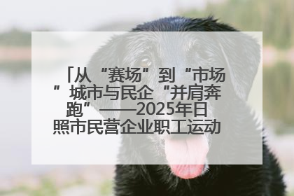 从“赛场”到“市场”城市与民企“并肩奔跑”——2025年日照市民营企业职工运动会亮点观察