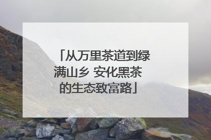 从万里茶道到绿满山乡 安化黑茶的生态致富路
