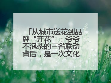 从城市送花到品牌“开花”：爷爷不泡茶的三省联动背后，是一次文化共振式扩张